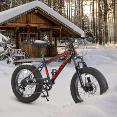 S20109 20 Zoll Mountainbike für Kinder und Jugendliche, Rahmen aus Kohlenstoffstahl, Scheibenbremsen, strapazierfähige Breitreifen, Federung vorne, 7-Gang, ideal für Schnee und Gelände