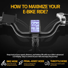Ridstar Q20Pro 2000W Fat Tire Ebike