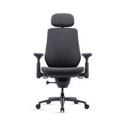 LiberNovo Maxis Big & Tall Ergonomic Office Chair – Manual Lumbar Adjustment Desk Chair
