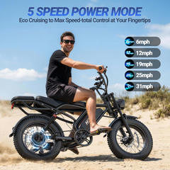 HQYEX HQ20 Adult Electric Bike, 1500W Brushless Motor, 20" Fat Tire Ebike, 48V 20Ah Removable Battery, 31MPH Top Speed with Dual Suspension & Dual Disc Brakes for All-Terrain Use