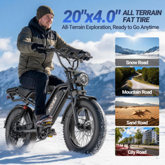 HQYEX HQ20 Adult Electric Bike, 1500W Brushless Motor, 20" Fat Tire Ebike, 48V 20Ah Removable Battery, 31MPH Top Speed with Dual Suspension & Dual Disc Brakes for All-Terrain Use