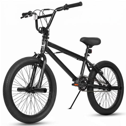 Hykolity 20 inch BMX Bike Freestyle Cycling Trick Bicycle with 4 Pegs for Teenage Adults Men Women Beginners Street Stunt Bike V-Brake Silver