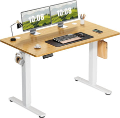 40–63 Inch Electric Standing Desk – Height Adjustable Computer Desk for Home Office