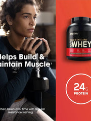 Optimum Nutrition Gold Standard 100% Whey Protein Powder, 5 lbs Healthcare Fitness