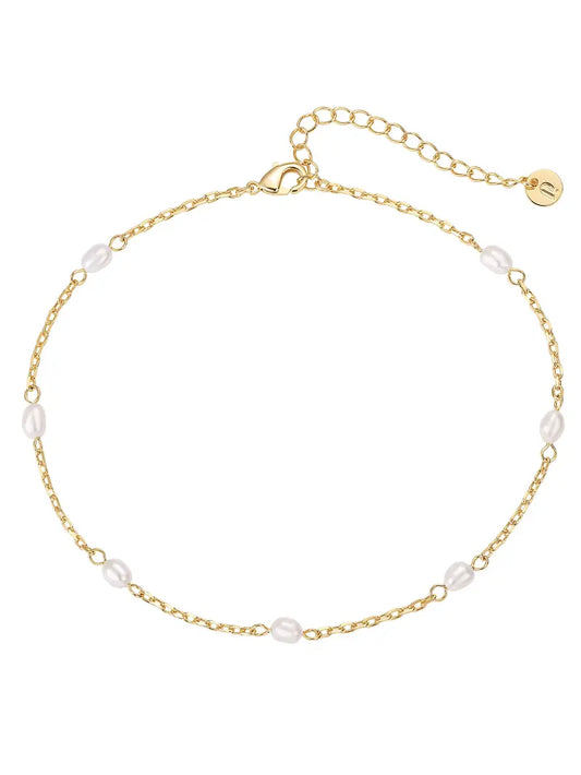 PAVOI 14K Gold Plated Dainty Link Chain Anklet for Women - Adjustable Ankle Jewelry