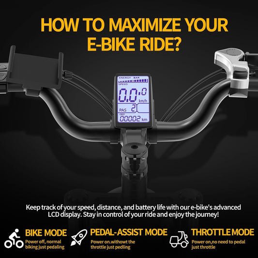 Ridstar Q20Pro 2000W Fat Tire Ebike