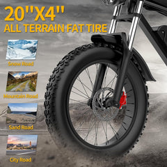 Ridstar Q20Pro 2000W Fat Tire Ebike