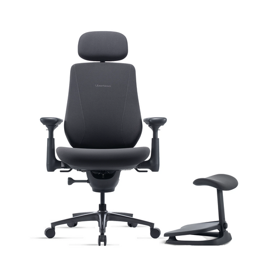 LiberNovo Maxis Big & Tall Ergonomic Office Chair – Manual Lumbar Adjustment Desk Chair
