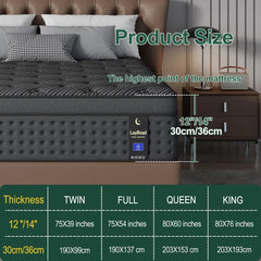 LayRoad 12/14Inch Memory Foam Spring Mattress Single/Double/Queen/King Sizes Boxed Mattress Medium Firmness Pressure Relief