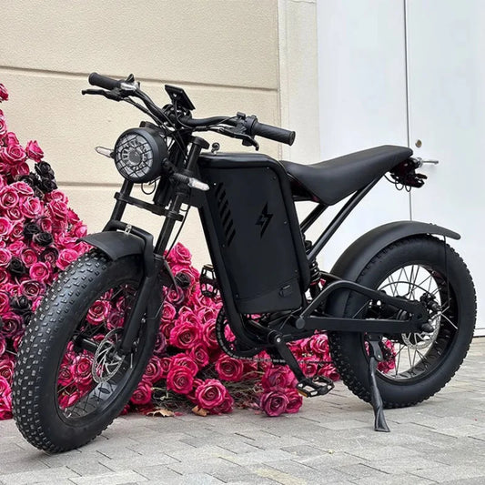 20-inch 4.0 sand fat tire E-Bike, 500W motor 48V30AH large capacity battery electric bicycle, snow off-road scooter