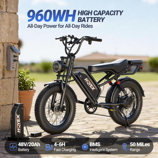 HQYEX HQ20 Adult Electric Bike, 1500W Brushless Motor, 20" Fat Tire Ebike, 48V 20Ah Removable Battery, 31MPH Top Speed with Dual Suspension & Dual Disc Brakes for All-Terrain Use