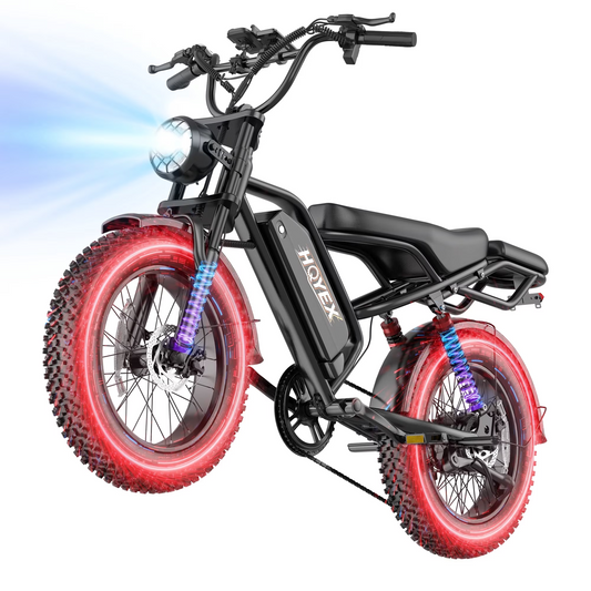 HQYEX HQ20 Adult Electric Bike, 1500W Brushless Motor, 20" Fat Tire Ebike, 48V 20Ah Removable Battery, 31MPH Top Speed with Dual Suspension & Dual Disc Brakes for All-Terrain Use