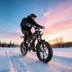 PostJoy S9 2500W Electric Bike, 48V20Ah Battery up to 50 Miles 7-Speed , 20-inch Fat Tire Full Suspension, off-Road Dirt Mountain Bike UL2849 Certified