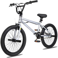 Hykolity 20 inch BMX Bike Freestyle Cycling Trick Bicycle with 4 Pegs for Teenage Adults Men Women Beginners Street Stunt Bike V-Brake Silver