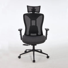 Ergonomic Mesh Office Chair with Adjustable Headrest Lumbar Support Desk Chair