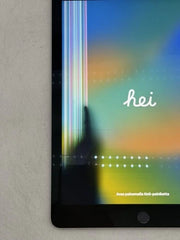 Apple iPad Pro 9.7-inch (Wi-Fi) 32GB Space Gray 2016 READ