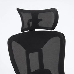 Ergonomic Mesh Office Chair with Adjustable Headrest Lumbar Support Desk Chair