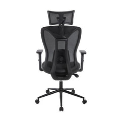 Ergonomic Mesh Office Chair with Adjustable Headrest Lumbar Support Desk Chair